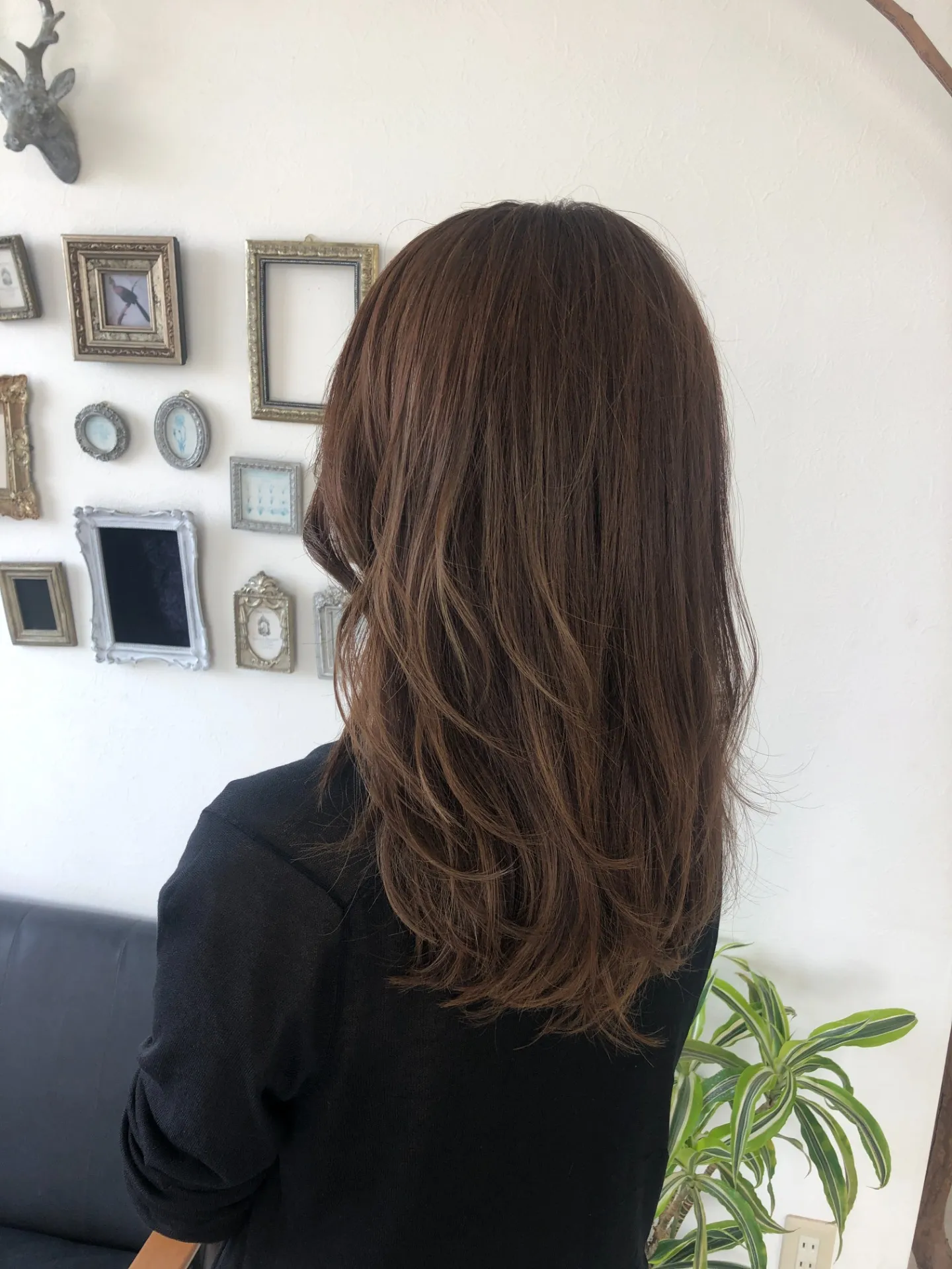 「ただ黒く染めるだけ」はもう古い！【新しい白髪染め】