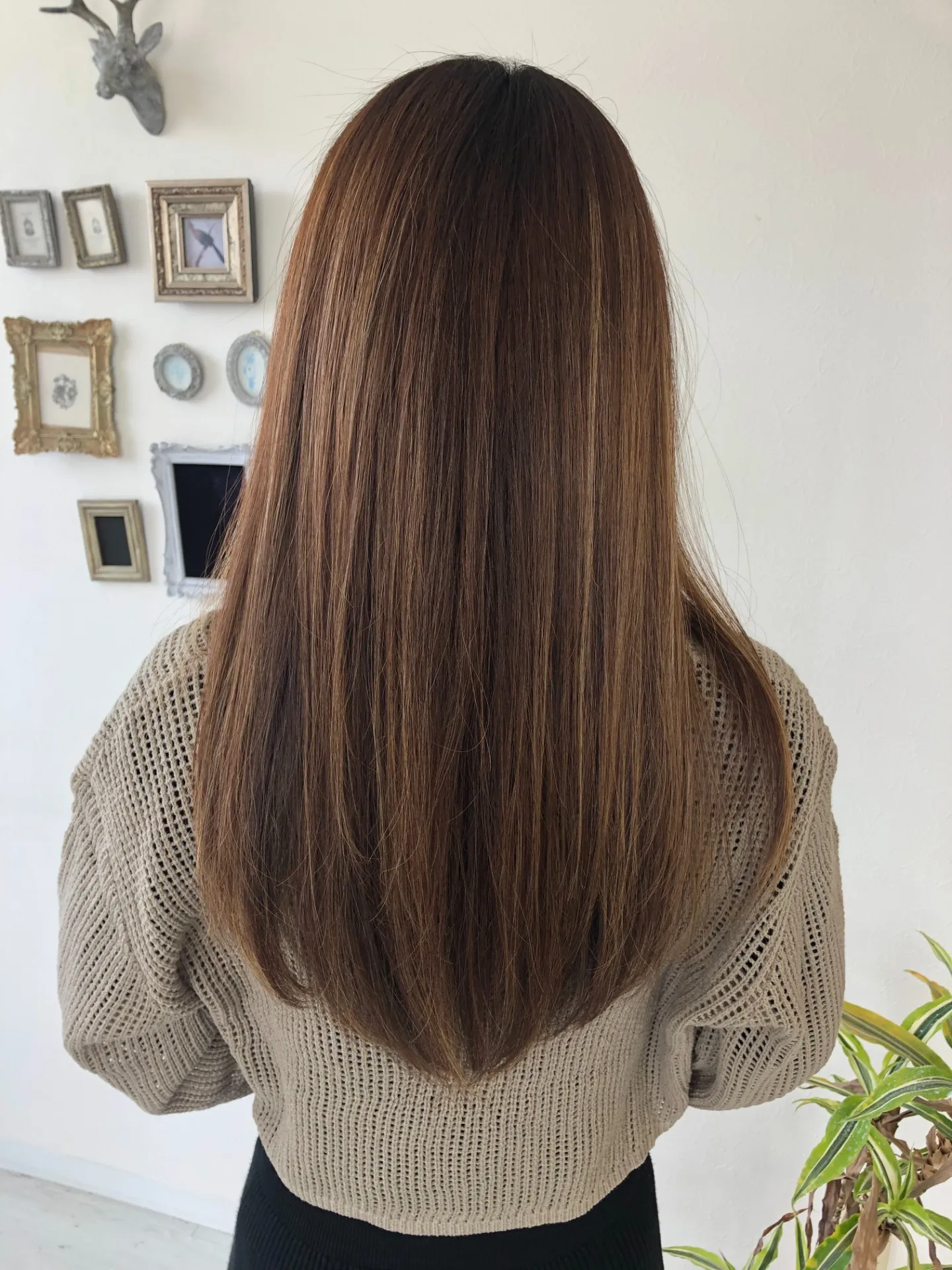 「なぜ、髪をキレイにする必要があるの？」たった一つの、しかし最も大切な理由