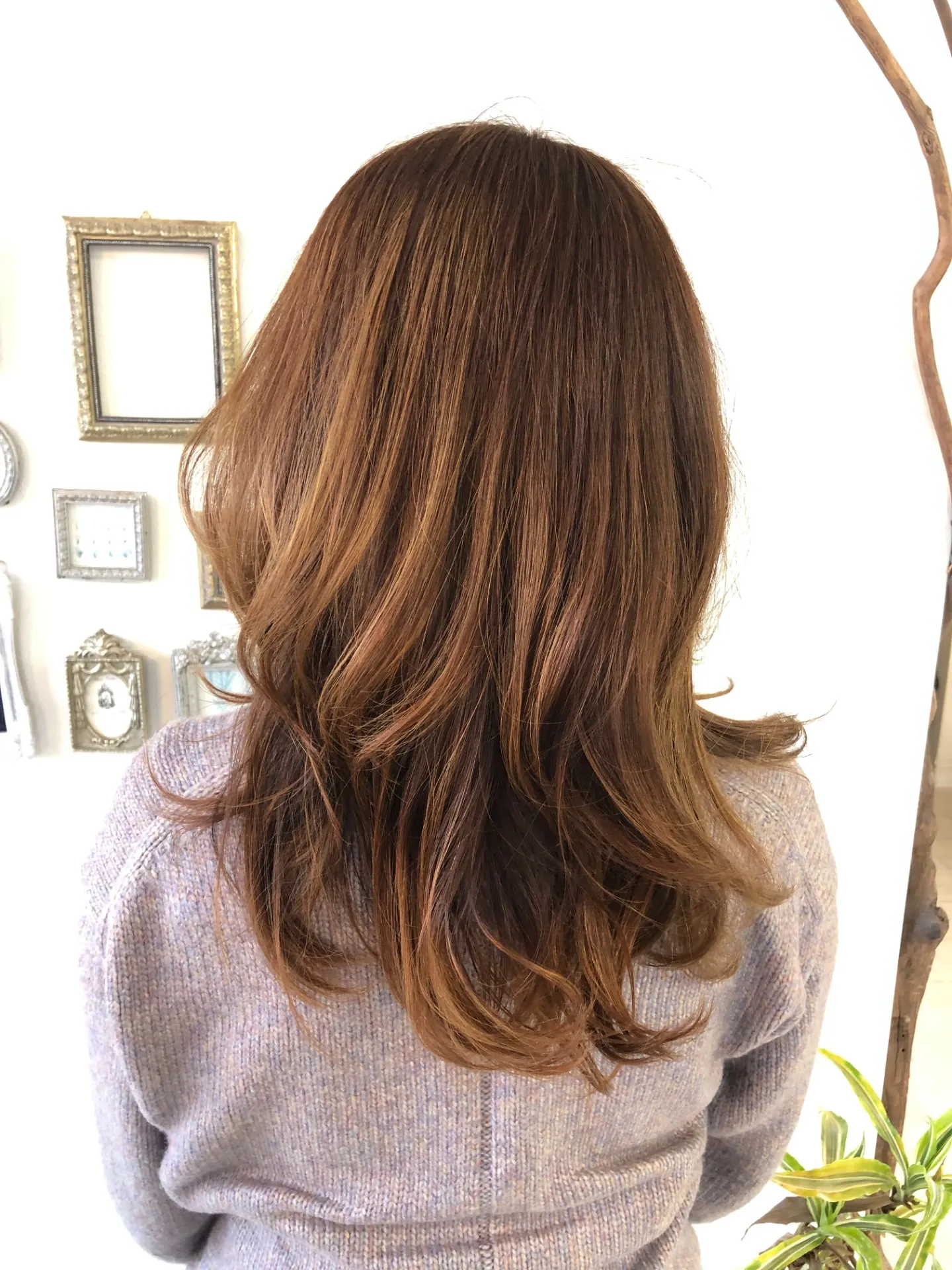 エクロジエの4つの白髪染め1「明るい白髪染め」で、あなたの髪はもっと輝く！