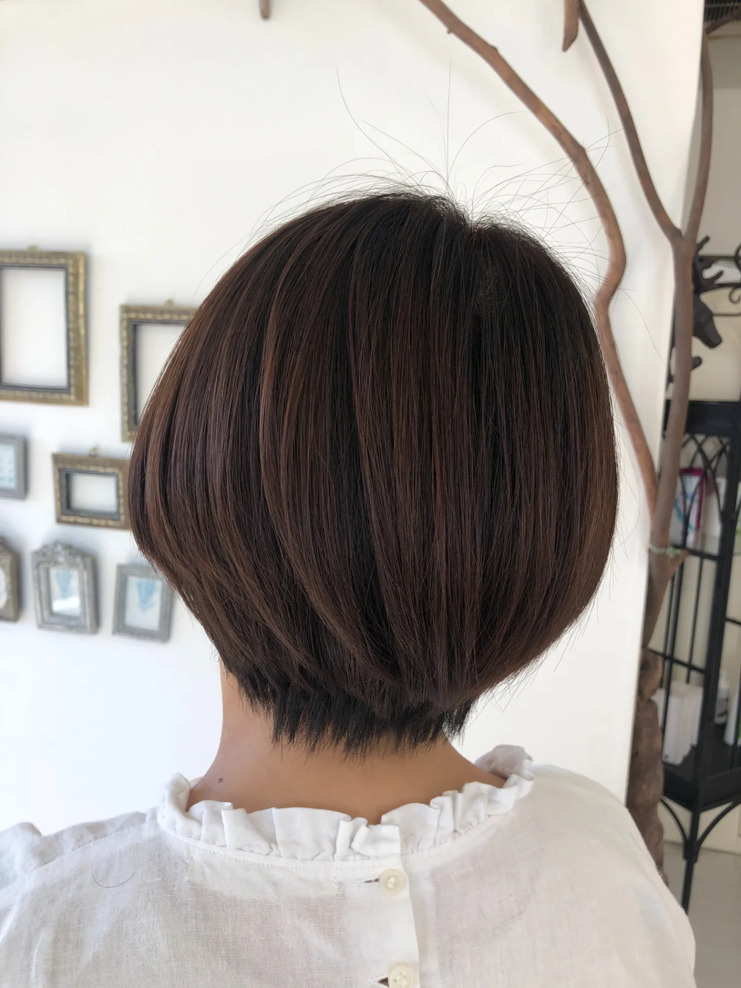 【もう「暗い白髪染め」は卒業！】優しく、明るく、若々しく。私がお届けする「肌映えカラー」のヒミツ。