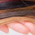 プライバシーポリシー